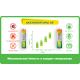 Аккумулятор GP 65AAAHC-2CPR2 650mAh AAA 2шт
