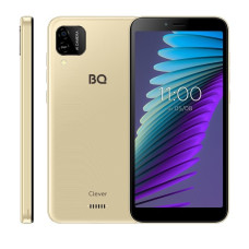 BQ 5765L Clever Gold