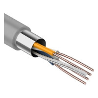 REXANT (01-0125) Кабель FTP CAT5e 2 пары (305м) 0.51 мм STRANDED