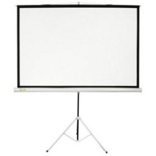 Экран Cactus Triscreen CS-PST-180X180 180х180см 1:1 напольный белый