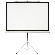Экран Cactus Triscreen CS-PST-104x186 104.4 x 186см 1:1 напольный рулонный белый