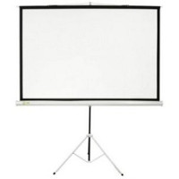 Экран Cactus Triscreen CS-PST-150X150 150х150 см 1:1, напольный белый