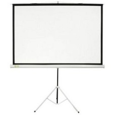 Экран Cactus Triscreen CS-PST-150X150 150х150 см 1:1, напольный белый
