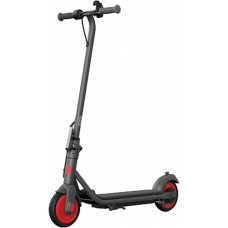 Электросамокат Ninebot by Segway KickScooter C20 (черный)