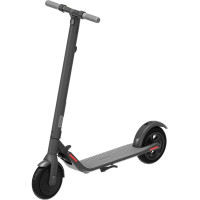Электросамокат Ninebot by Segway KickScooter E22 (серый)