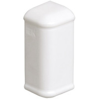 IEK (CKK-40D-Z-100-040-K01 ) Заглушка 100х40 Праймер