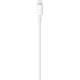 Кабель Lightning-USB-C Apple MM0A3ZM/A 1м