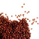 Кофе в зёрнах Carraro Arabica 100% 500 г