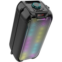 Ginzzu GM-221 {(V5.0), 24Вт, 150Гц- 18кГц, USB-flash, microSD-card, FM-радио, пульт ДУ, батарея 3,6В/2400мАч, эквалайзер}