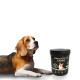 Кормовая добавка iPet Skin&Coat 26 in 1 Canine 30 г (4602837)