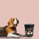 Кормовая добавка iPet Multi 26 in 1 Canine&Feline 30 г (4602783)