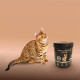 Кормовая добавка iPet Skin&Coat 26 in 1 Feline 30 г (4602929)