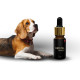 Конопляное масло iHemp CBD PET OIL repair 10 мл