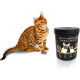 Кормовая добавка iPet Healthy microflora Canine&Feline 30 г (4602721)