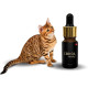 Конопляное масло iHemp CBD PET OIL Antistress 10 мл