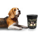 Кормовая добавка iPet Arthro protection Canine&Feline 30 г (4602820)