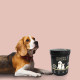 Кормовая добавка iPet Probiotics Junior Pets 30 г (4602882)