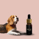 Конопляное масло iHemp CBD PET OIL Gerontology 10 мл