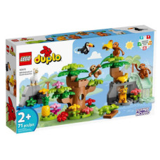 LEGO DUPLO "Дикие животные Южной Америки" 10973