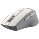 Мышь A4Tech Fstyler FG30S White/Grey silent беспроводная