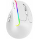 Мышь Delux KM-M618DB Wireless RGB White, беспроводная