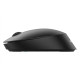 Мышь Philips SPK7407 черный беспроводная
