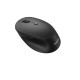 Мышь Philips SPK7507 черный беспроводная