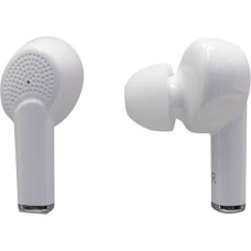HARPER HB-527 White