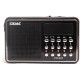 Беспроводные bluetooth-колонки Сигнал РП-221 Black
