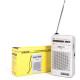 Беспроводные bluetooth-колонки Сигнал Эфир-01 White
