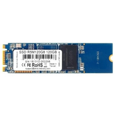 AMD SSD 120GB Radeon R5 Client, M.2, R5M120G8