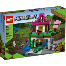 LEGO Minecraft "Площадка для тренировок" 21183