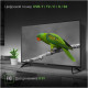 Телевизор ЖК 43" Digma DM-LED43MBB21 черный
