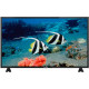 Телевизор ЖК 43" Starwind SW-LED43BA201 черный