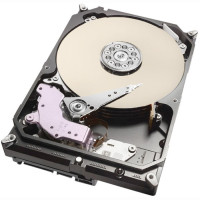 HDD WD SATA 10Tb Ultrastar DC HC510 7200 6Gb/s 256Mb HUH721010ALE600